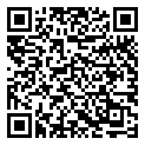Negozio edo tokiko QR edo bidi kodea