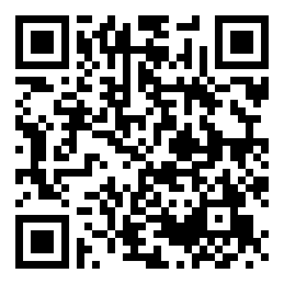 Negozio edo tokiko QR edo bidi kodea