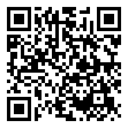 Negozio edo tokiko QR edo bidi kodea