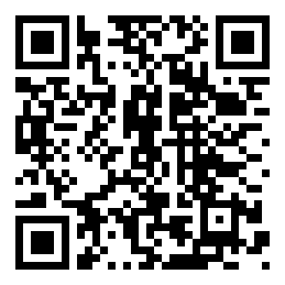 codice QR o Bidi dell'attività commerciale o luogo