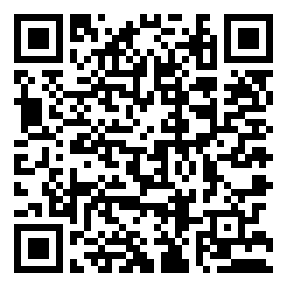 Negozio edo tokiko QR edo bidi kodea