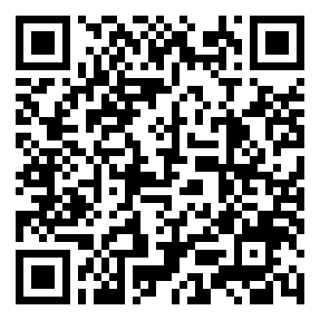 Negozio edo tokiko QR edo bidi kodea