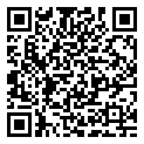 codice QR o Bidi dell'attività commerciale o luogo