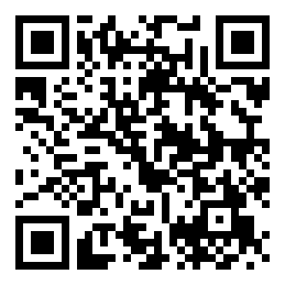 Negozio edo tokiko QR edo bidi kodea