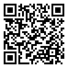 Negozio edo tokiko QR edo bidi kodea