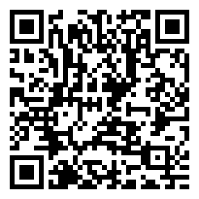 Negozio edo tokiko QR edo bidi kodea