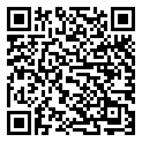 Negozio edo tokiko QR edo bidi kodea