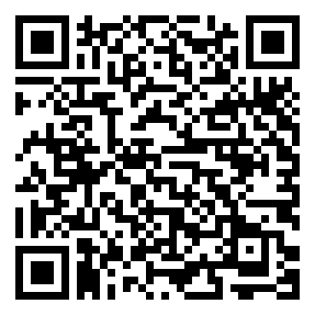 Negozio edo tokiko QR edo bidi kodea