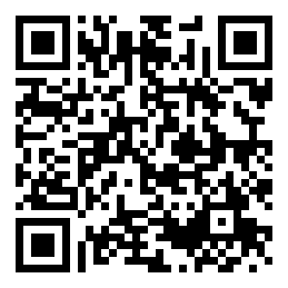 Negozio edo tokiko QR edo bidi kodea