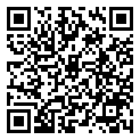 Negozio edo tokiko QR edo bidi kodea