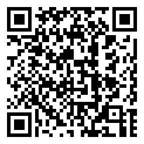 Negozio edo tokiko QR edo bidi kodea