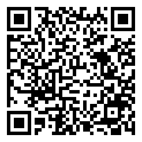 Negozio edo tokiko QR edo bidi kodea