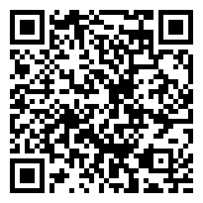 Negozio edo tokiko QR edo bidi kodea