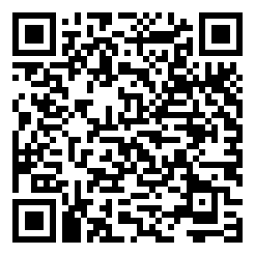 Negozio edo tokiko QR edo bidi kodea