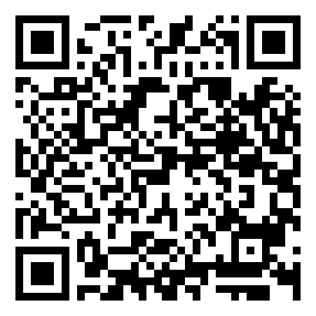 Negozio edo tokiko QR edo bidi kodea