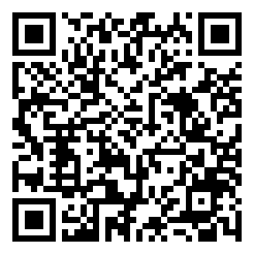 Negozio edo tokiko QR edo bidi kodea
