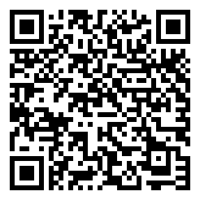 Negozio edo tokiko QR edo bidi kodea