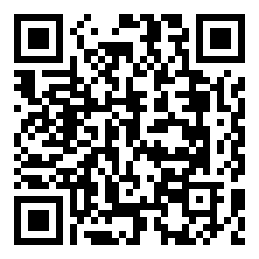 Negozio edo tokiko QR edo bidi kodea