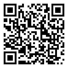 codice QR o Bidi dell'attività commerciale o luogo