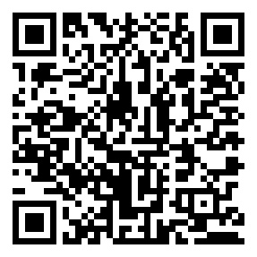 Negozio edo tokiko QR edo bidi kodea