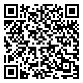 Negozio edo tokiko QR edo bidi kodea