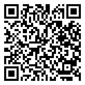 Negozio edo tokiko QR edo bidi kodea
