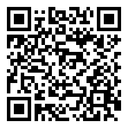 Negozio edo tokiko QR edo bidi kodea