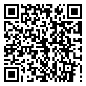 Negozio edo tokiko QR edo bidi kodea