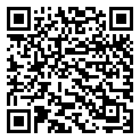 Negozio edo tokiko QR edo bidi kodea