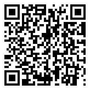 Negozio edo tokiko QR edo bidi kodea