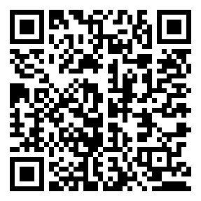 Negozio edo tokiko QR edo bidi kodea