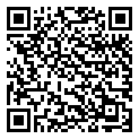 Negozio edo tokiko QR edo bidi kodea