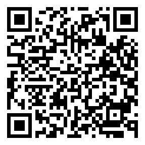 Negozio edo tokiko QR edo bidi kodea