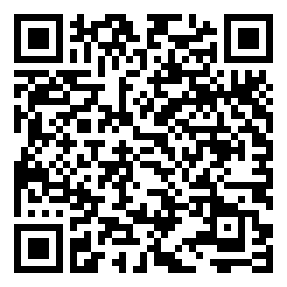 Negozio edo tokiko QR edo bidi kodea