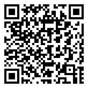 Negozio edo tokiko QR edo bidi kodea