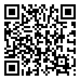 Negozio edo tokiko QR edo bidi kodea