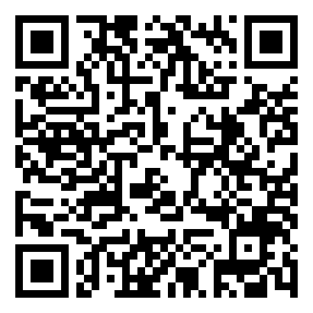 Negozio edo tokiko QR edo bidi kodea
