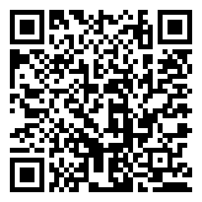 Negozio edo tokiko QR edo bidi kodea