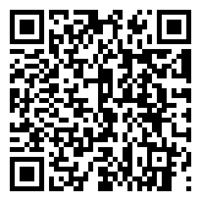 Negozio edo tokiko QR edo bidi kodea