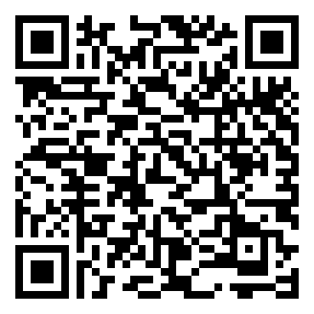 Negozio edo tokiko QR edo bidi kodea
