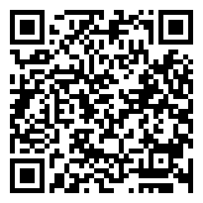 Negozio edo tokiko QR edo bidi kodea