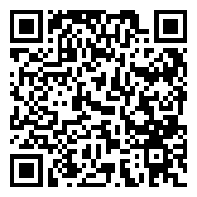 Negozio edo tokiko QR edo bidi kodea