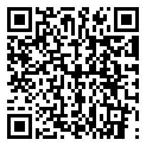 Negozio edo tokiko QR edo bidi kodea