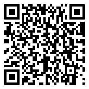Negozio edo tokiko QR edo bidi kodea