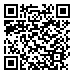 codice QR o Bidi dell'attività commerciale o luogo