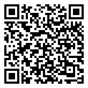 Negozio edo tokiko QR edo bidi kodea