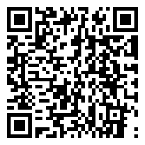 Negozio edo tokiko QR edo bidi kodea