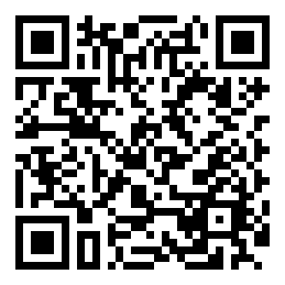 Negozio edo tokiko QR edo bidi kodea