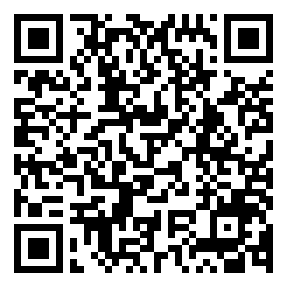 Negozio edo tokiko QR edo bidi kodea