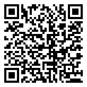 Negozio edo tokiko QR edo bidi kodea